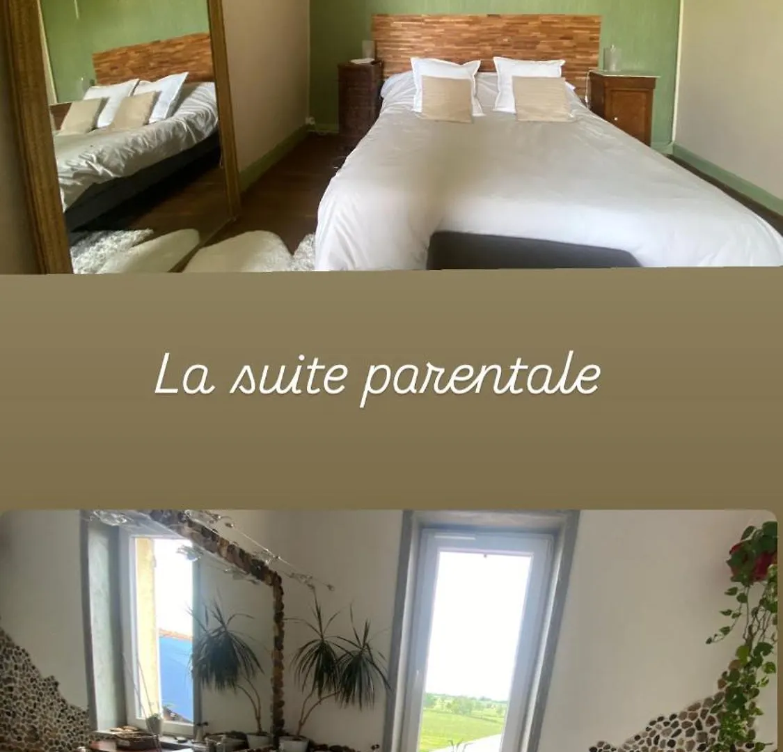 99 Maison Des Merles Briennon